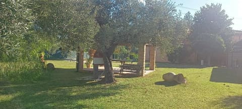 Photo of the lot 4