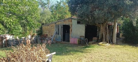 Photo of the lot 5