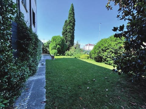 Photo of the lot 3
