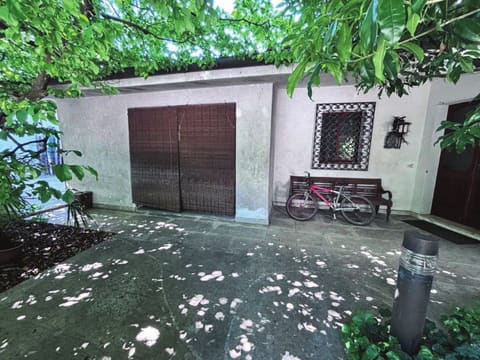 Photo of the lot 8