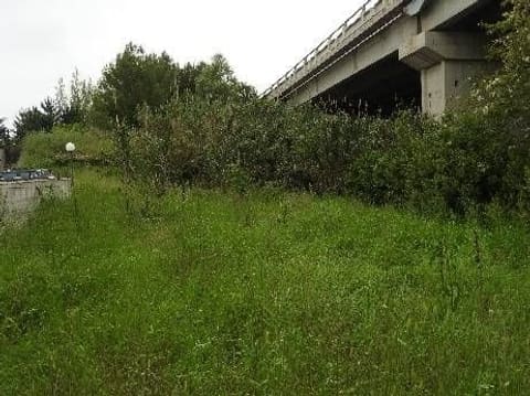 Photo of the lot 6