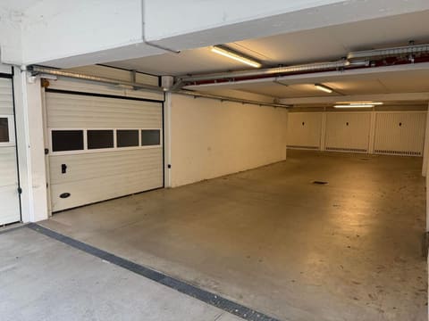 Photo of the lot 2