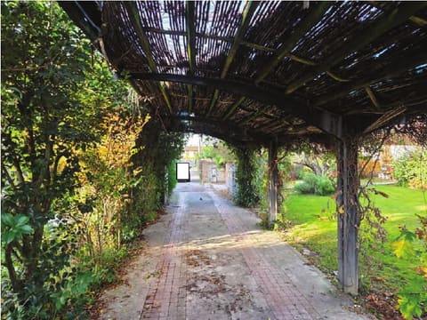 Photo of the lot 3