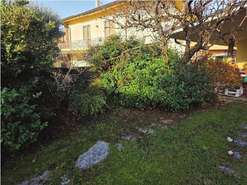 Photo of the lot 7