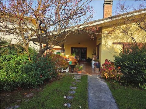 Photo of the lot 8