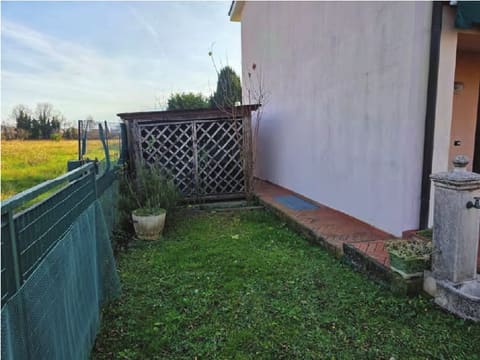Photo of the lot 6