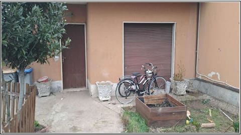 Photo of the lot 4
