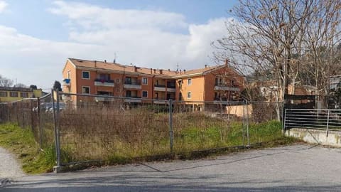 Photo of the lot 3