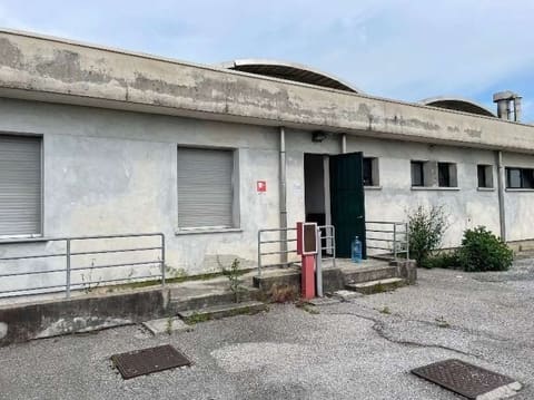 Photo of the lot 1