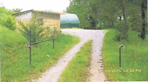 Photo of the lot 2