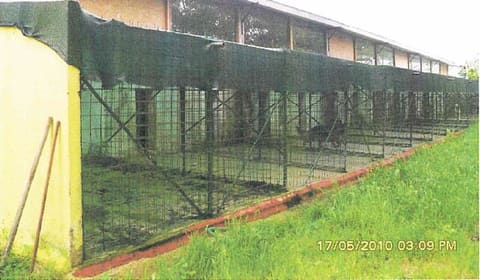 Photo of the lot 6