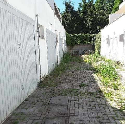 Photo of the lot 3