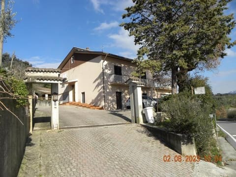 Photo of the lot 1