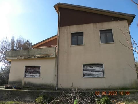 Photo of the lot 5