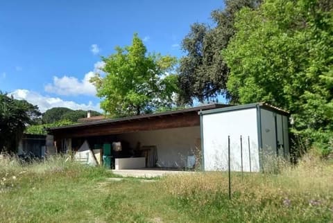 Photo of the lot 2