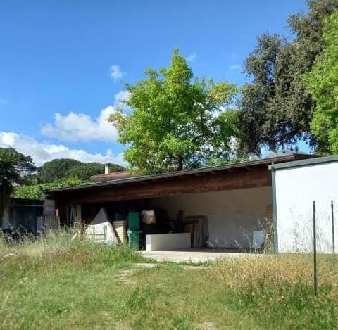 Photo of the lot 5