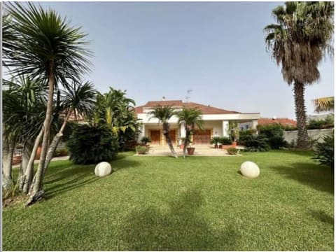 Photo of the lot 4