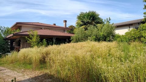 Photo of the lot 1
