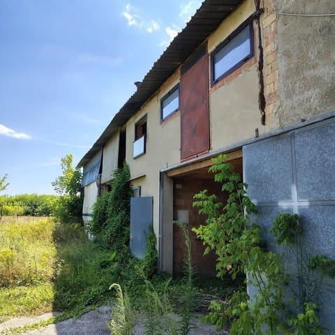 Photo of the lot 5