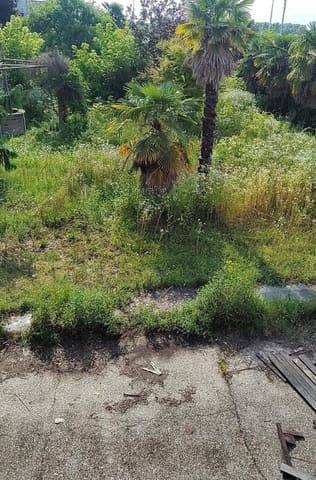 Photo of the lot 6
