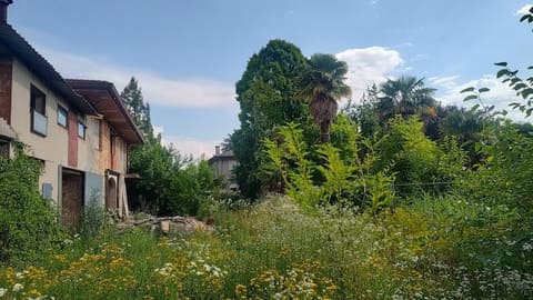Photo of the lot 8