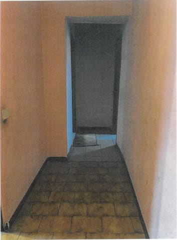 Photo of the lot 3