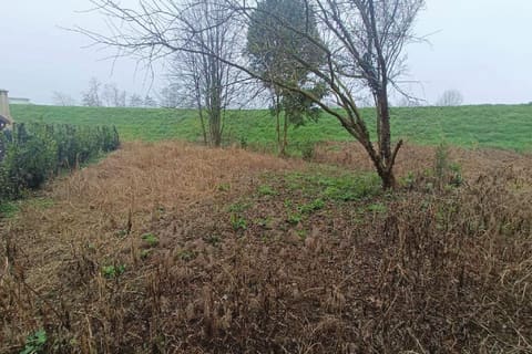 Photo of the lot 1