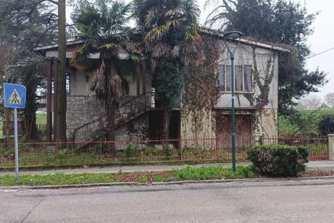 Photo of the lot 2