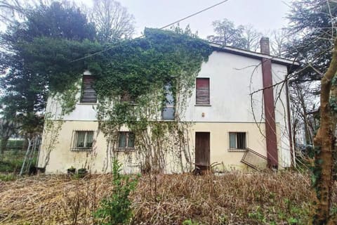 Photo of the lot 5