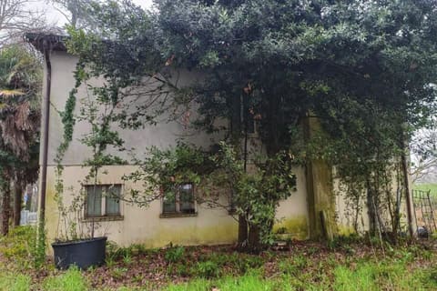 Photo of the lot 6