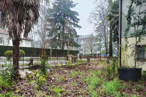Photo of the lot 9
