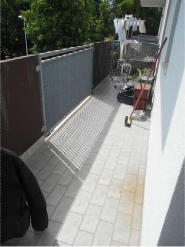 Photo of the lot 6