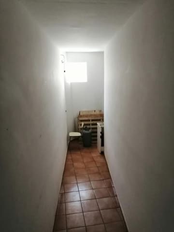 Photo of the lot 3
