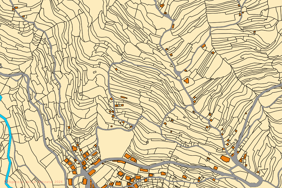 Plan cadastral du centre de Aurigo : parcelles et bâtiments, cartographie de l'Agenzia delle Entrate